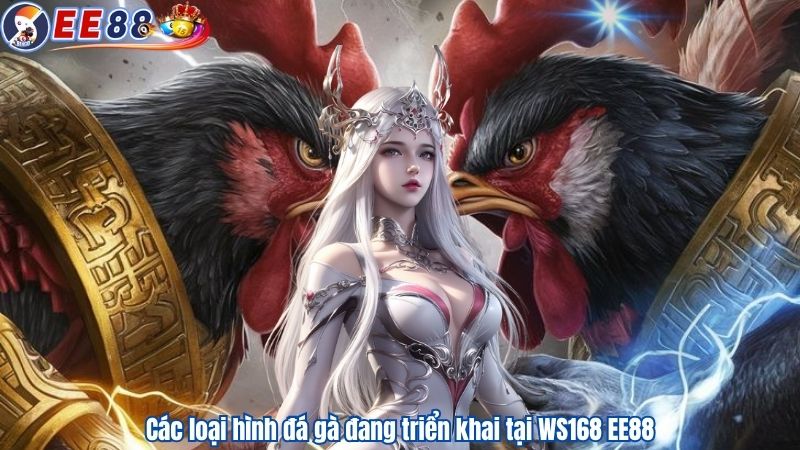 Các loại hình đá gà đang triển khai tại WS168 EE88